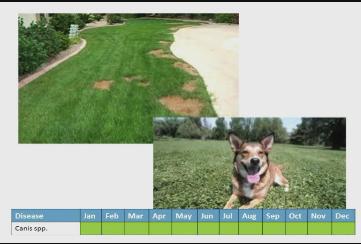 Dakota Growing - Stop Turf Problems Before They Start