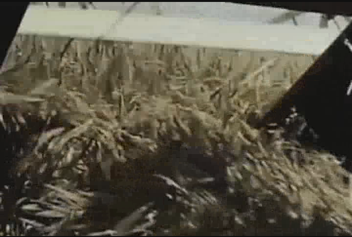 Film Treasures of North Dakota - Changing Picture