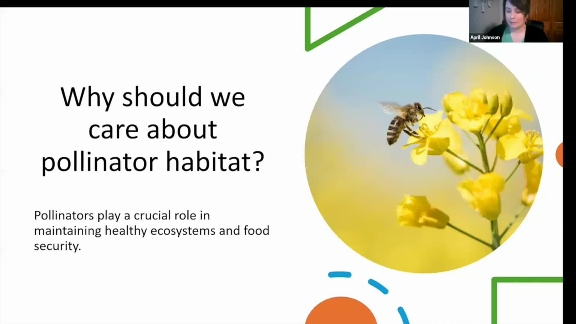 Dakota Growing - NDSU Certified Home Pollinator Gardens