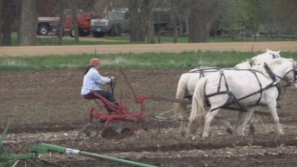 2018 Taylor Horsefest