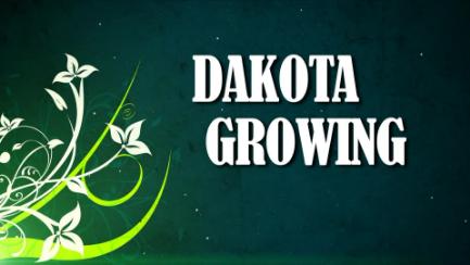 Dakota Growing - 2024 Year in Review