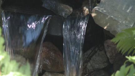 Dakota Growing - Pond Building & Maintenance
