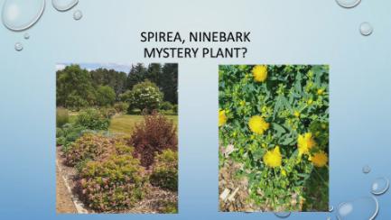 Dakota Growing - Xeriscaping: Water Conservation in the Landscape