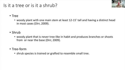 Dakota Growing - Super Shrubs for Landscapes