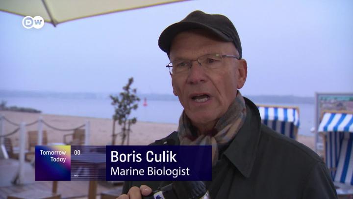 Thumbnail image for Tomorrow Today