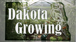 Dakota Growing videos