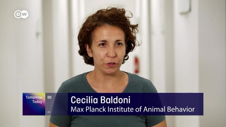 Thumbnail image for Tomorrow Today