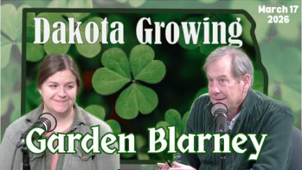 Dakota Growing - Garden Blarney