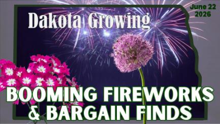 Dakota Growing - Booming Fireworks and Bargain Finds