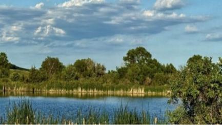 Morton County Park Board