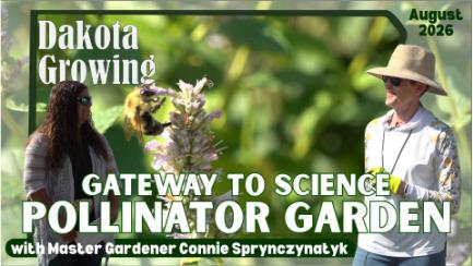 Dakota Growing - Gateway to Science Pollinator Garden Tour