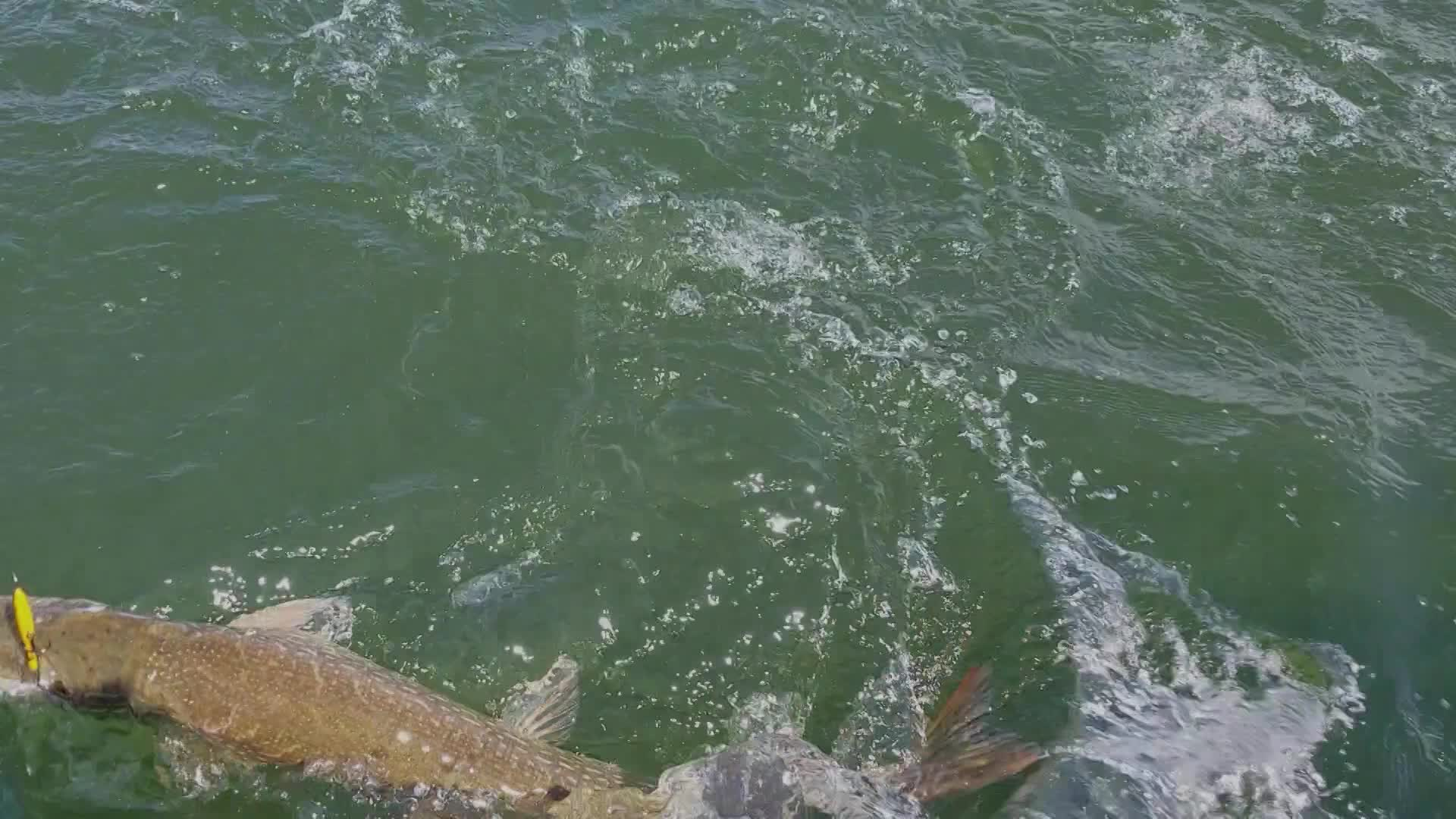 Southeast District Fishing Preview with BJ Kratz