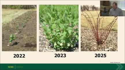 Dakota Growing - Honeyberries & Growing Herbs