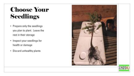 Dakota Growing - Bare Root Tree Planting