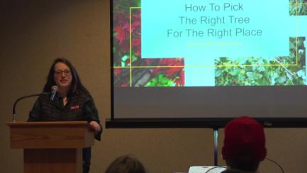 Dakota Growing - How to Pick the Right Tree for the Right Place
