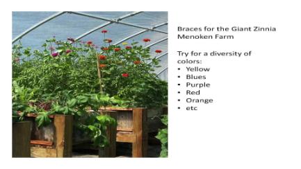 Dakota Growing - Gardening with Plant Diversity