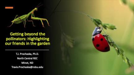 Dakota Growing - Getting Beyond the Pollinators