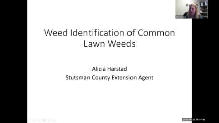 Dakota Growing - Identification of Lawn & Garden Weeds