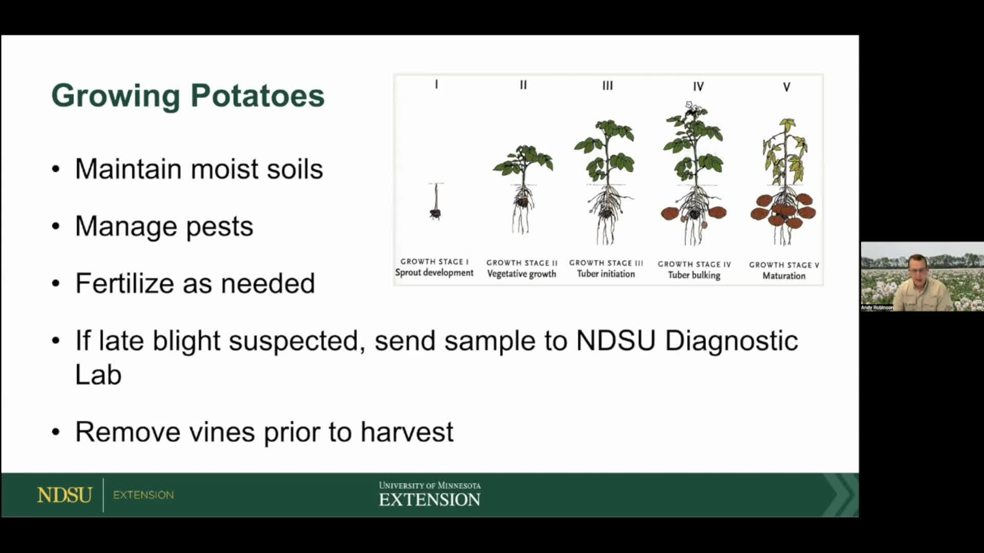 Dakota Growing - Growing Tasty Taters in Your Garden