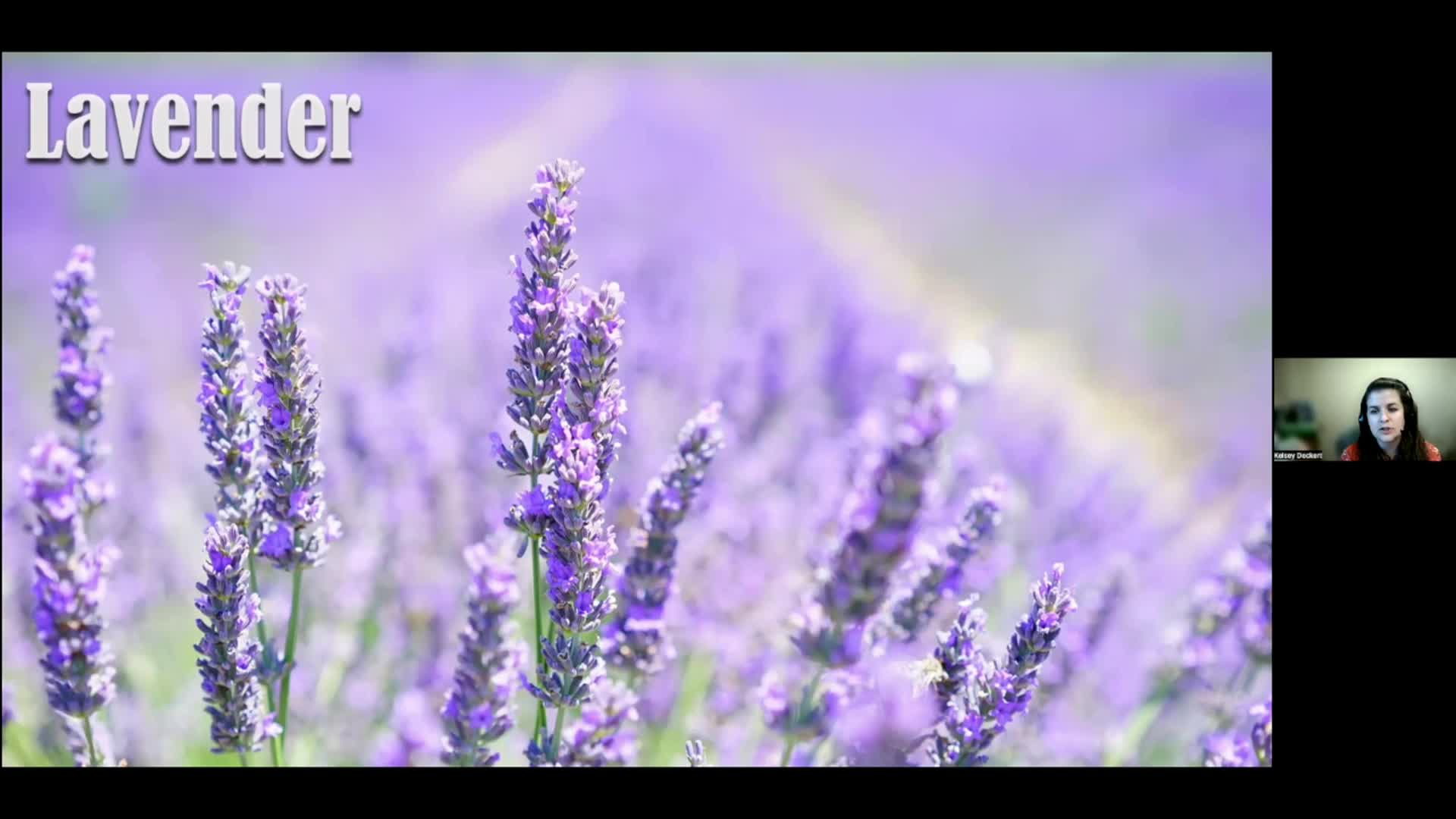 Dakota Growing - Growing and Preserving Herbs