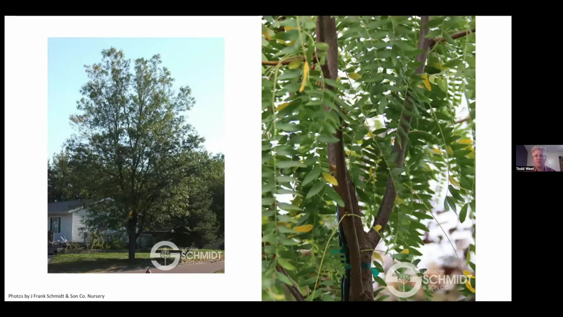 Thumbnail image for Dakota Growing - New Trees & Shrubs