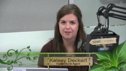 Dakota Growing - Keeping a Healthy Garden