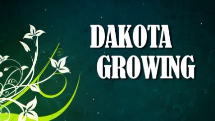 Dakota Growing - Fall Harvest & Lawn Care