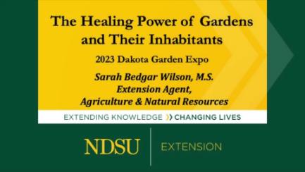 Dakota Growing - The Healing Power of Gardens & Their Inhabitants