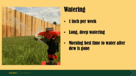 Dakota Growing - Landscaping Tips & Troubles