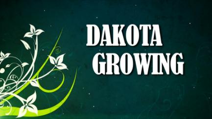 Dakota Growing - Composting & Winter Rose Survival
